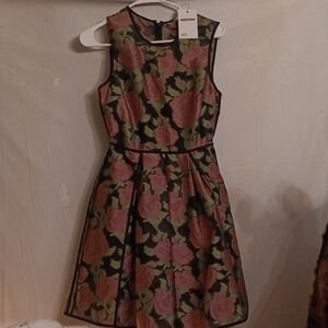Asos Lined Rose Dress Size 8 NWT